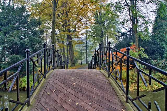 Black metal bridge over a small waterway, wooded park